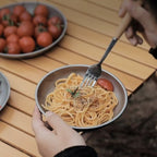 Titanium Picnic Plate